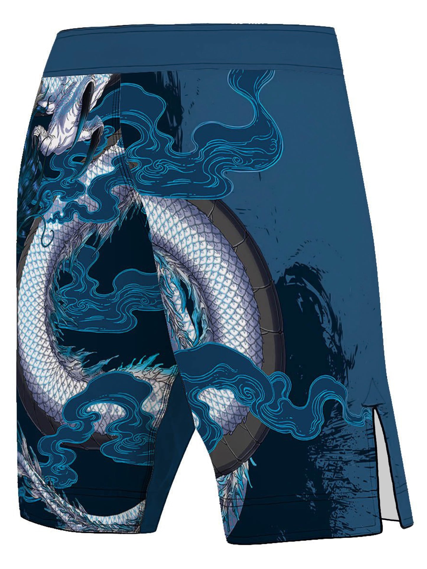 Raven Fightwear Men's Year of the Dragon MMA Shorts BJJ Blue