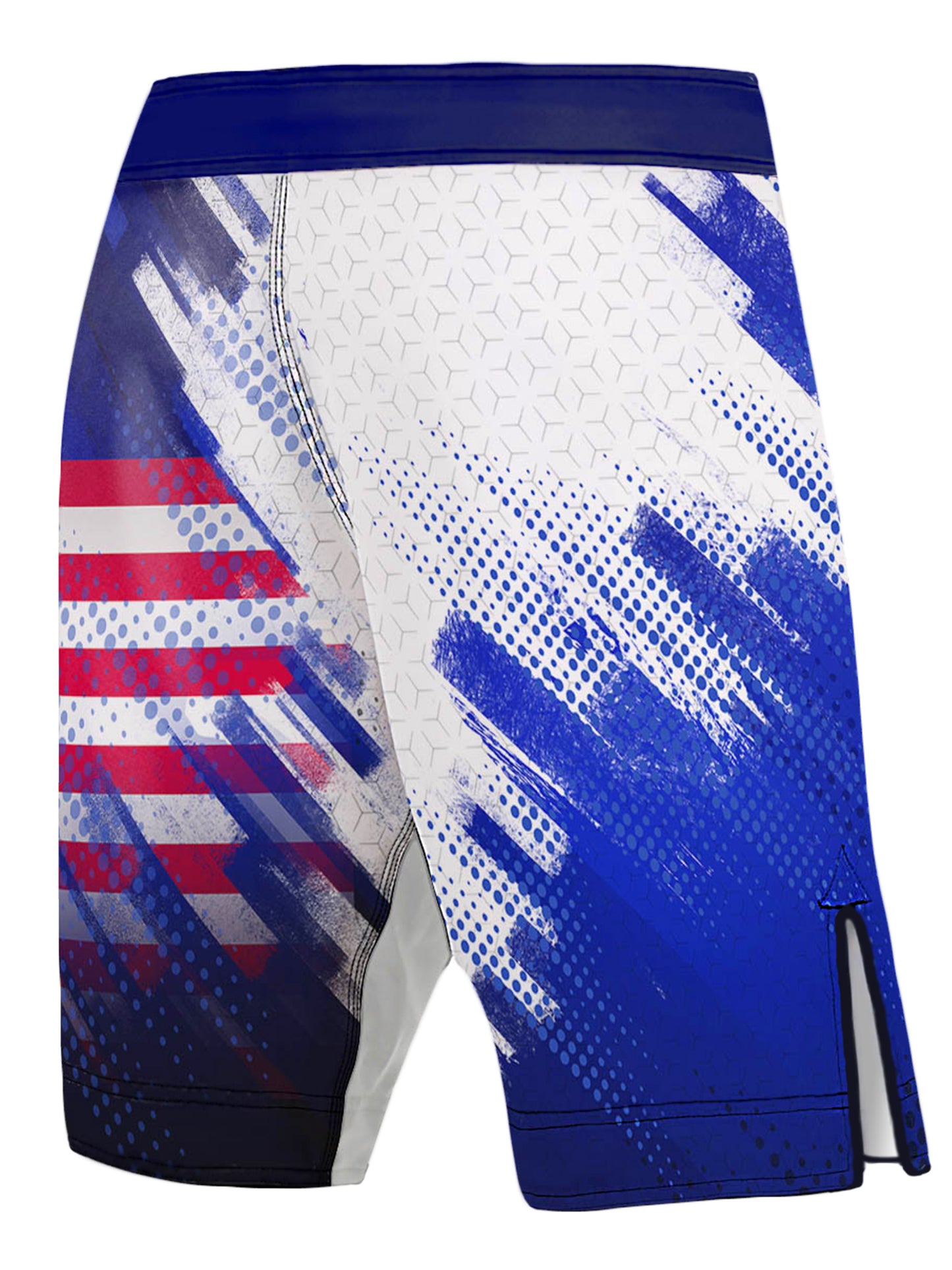 Raven Fightwear Men's Valor USA MMA Shorts BJJ Blue
