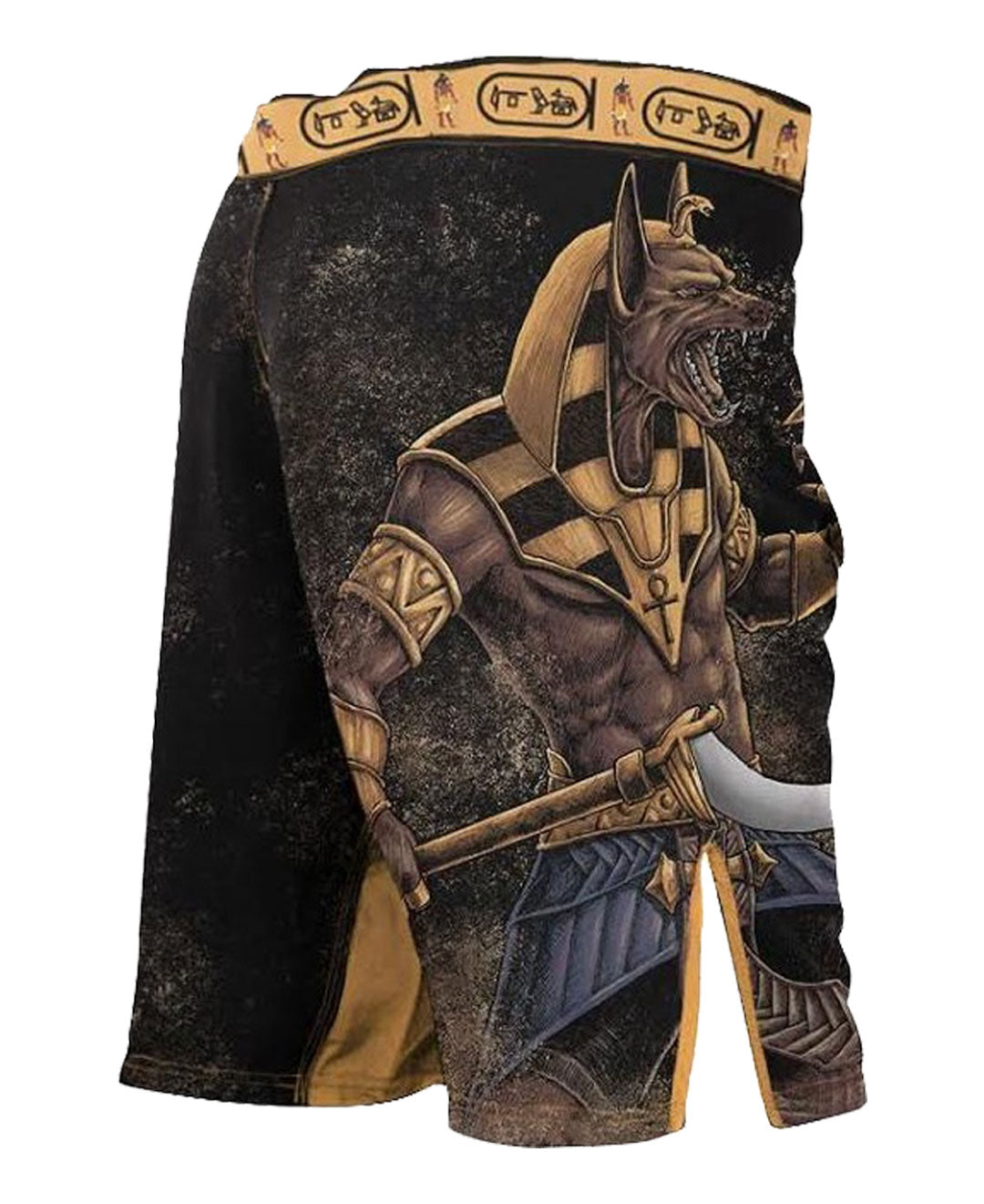 Raven Fightwear Men's Anubis MMA Fight Shorts