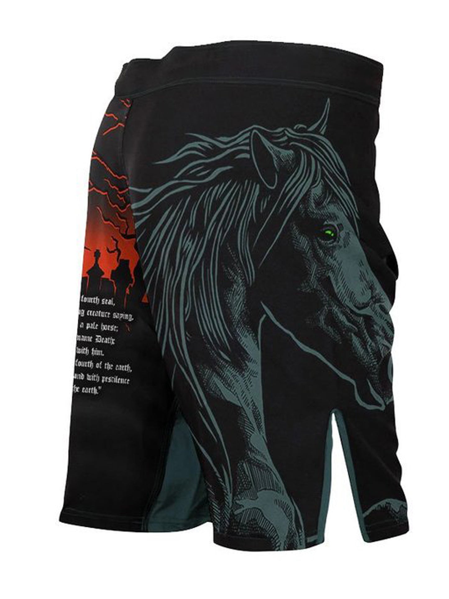 Raven Fightwear Men's Four Horsemen Death Shorts MMA Black