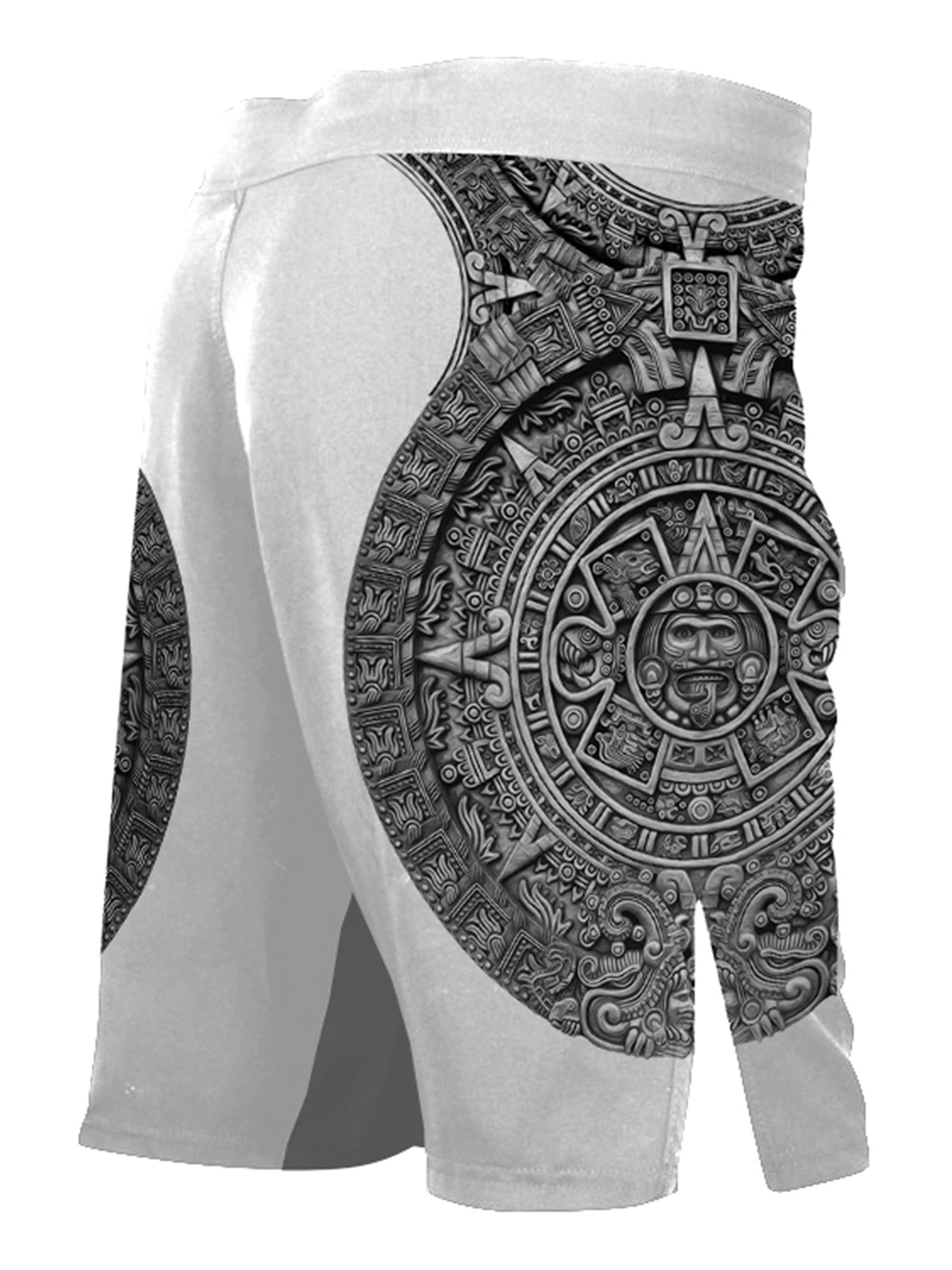 Raven Fightwear Men's Aztec Ranked BJJ MMA Shorts White