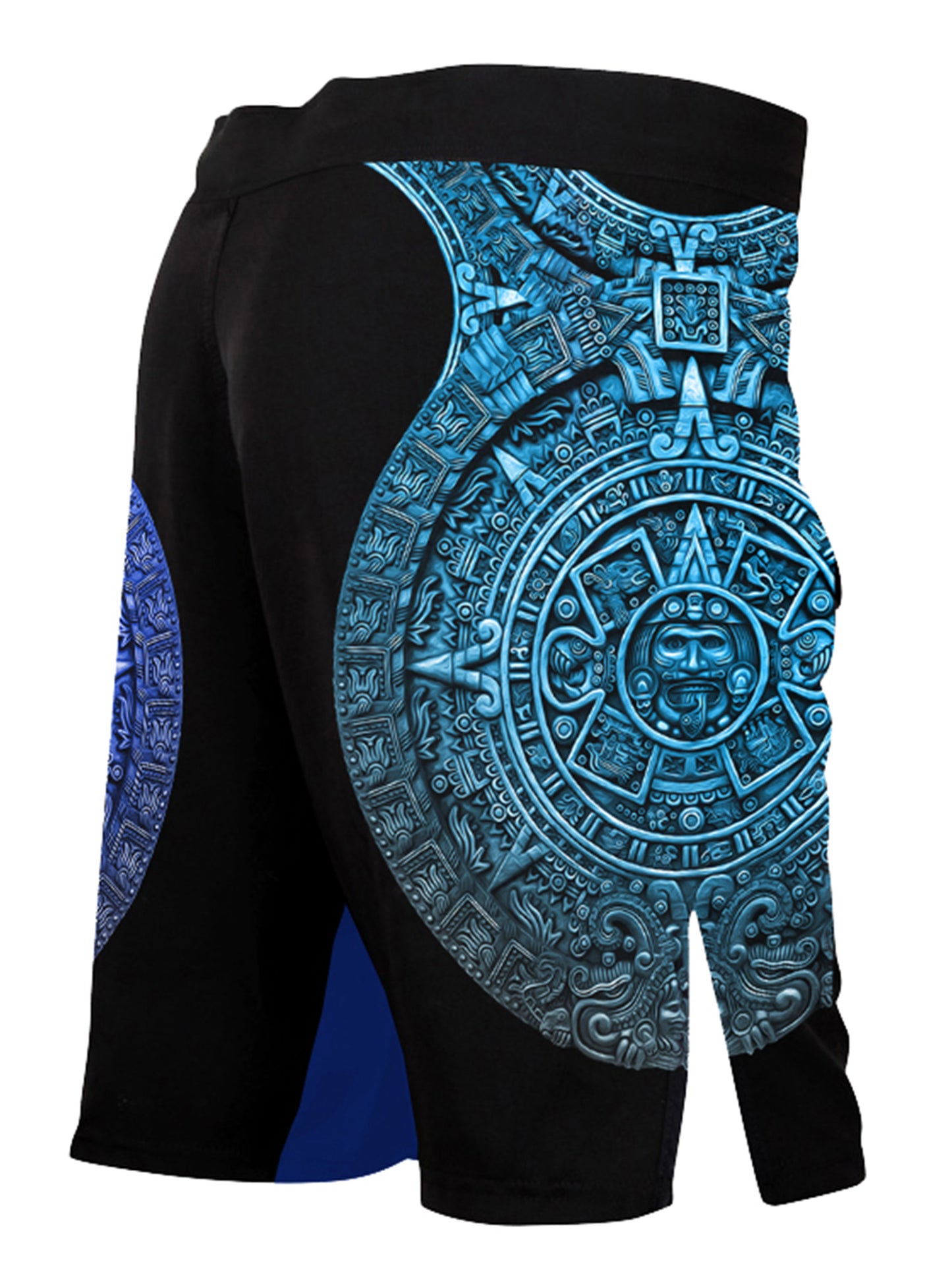 Raven Fightwear Men's Aztec Ranked BJJ MMA Shorts Blue