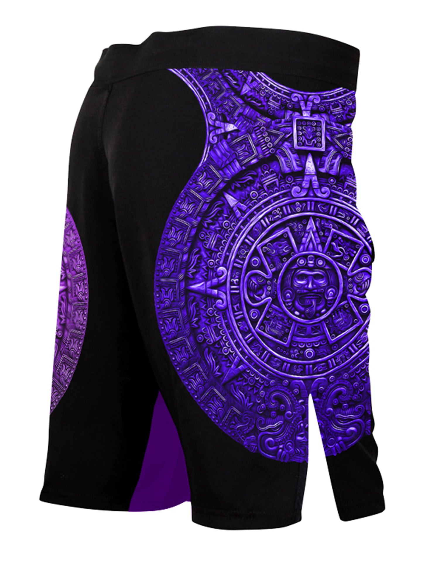 Raven Fightwear Men's Aztec Ranked BJJ MMA Shorts Purple