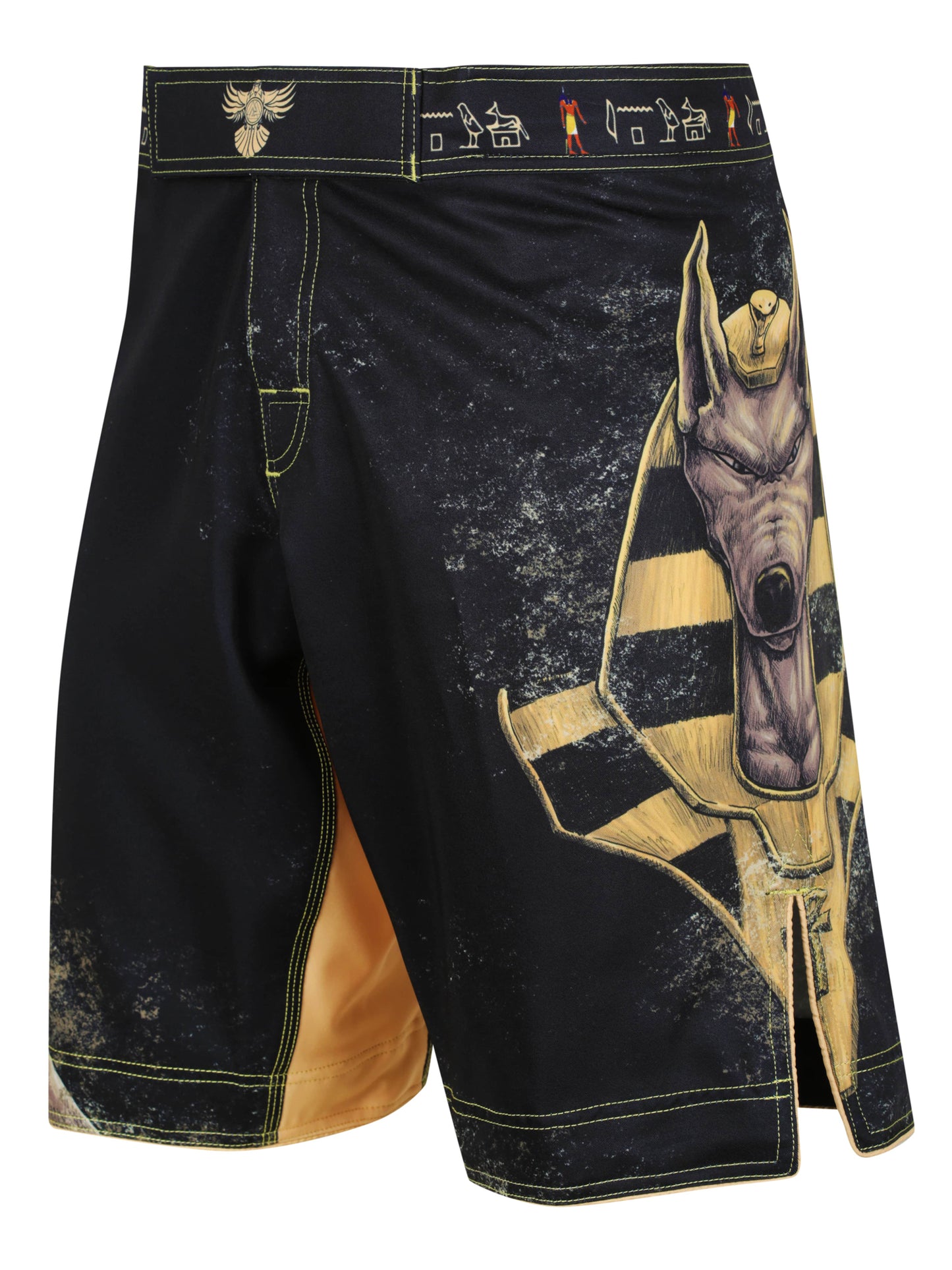 Raven Fightwear Men's Anubis MMA Shorts BJJ Black/Black