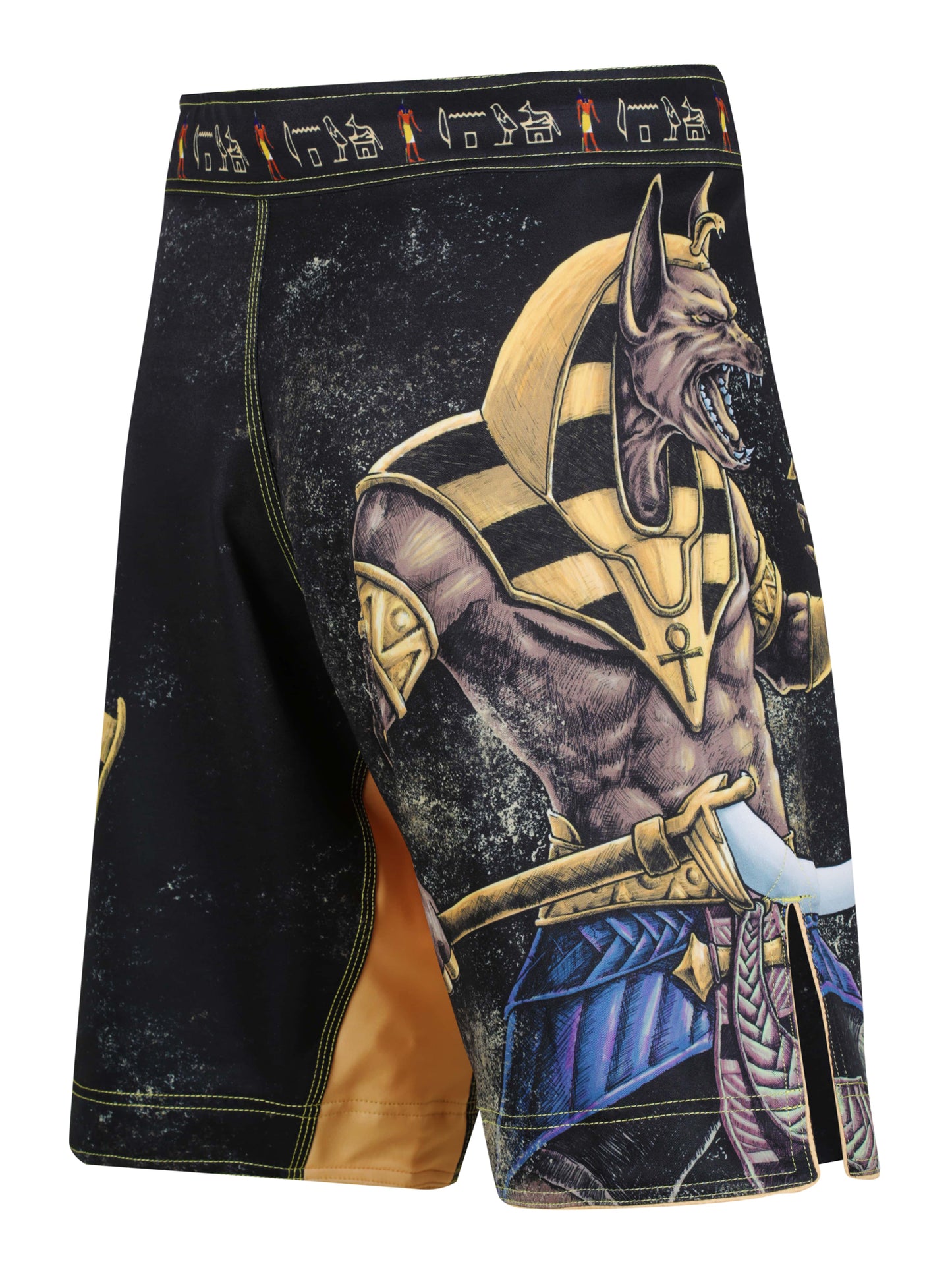 Raven Fightwear Men's Anubis MMA Shorts BJJ Black/Black