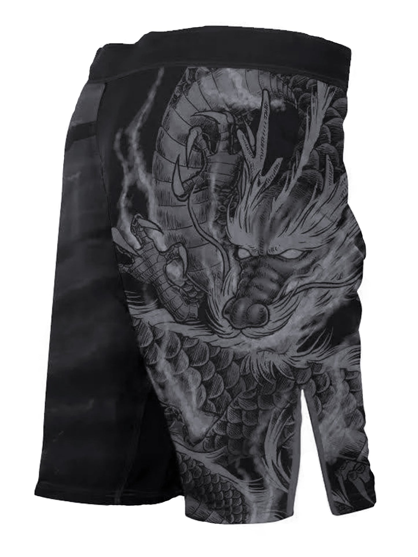 Raven Fightwear Men's Dragon Fire Element MMA Shorts BJJ Black Edition