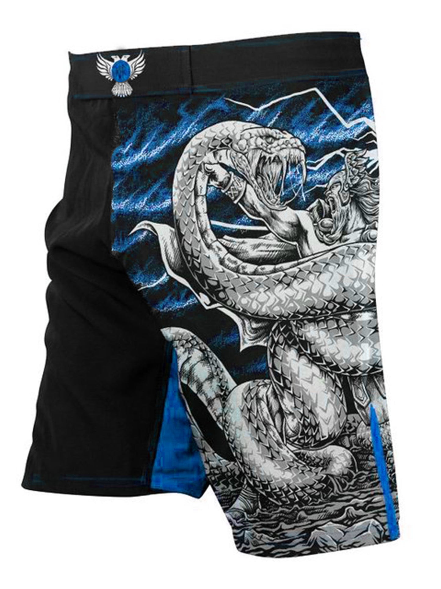 Raven Fightwear Men's Thor Norse MMA Shorts BJJ Black/Blue